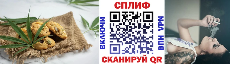 Cannafood конопля  blacksprut зеркало  Гатчина 