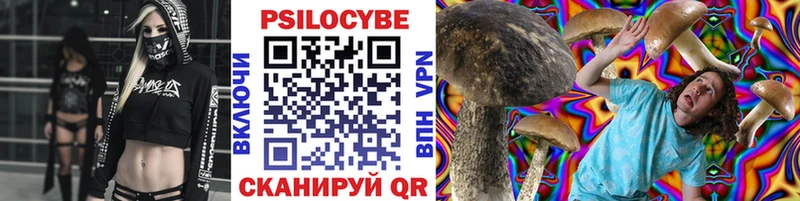 Псилоцибиновые грибы Psilocybine cubensis Гатчина